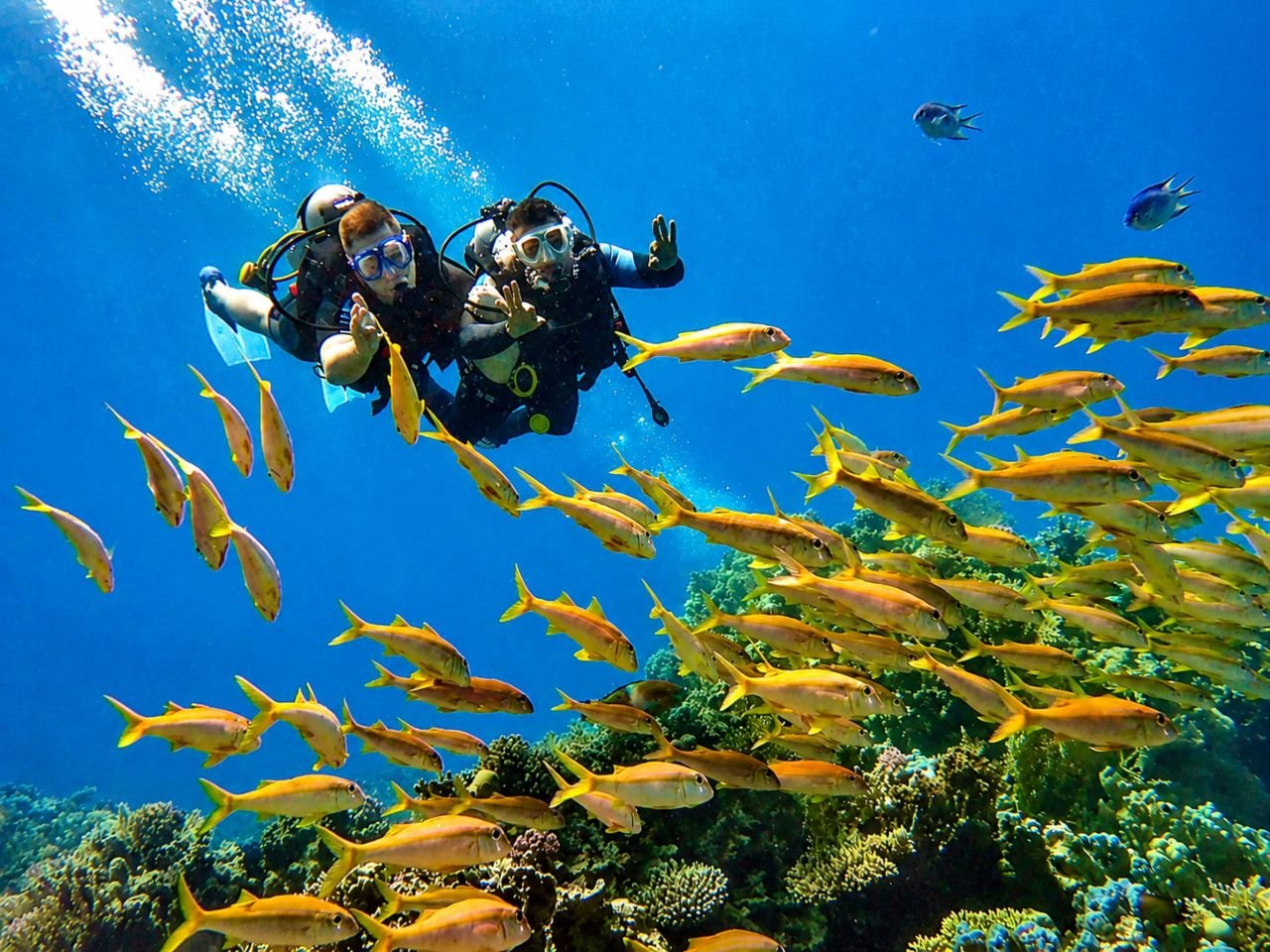 Гмуркане в Хургада (Hurghada Diving)